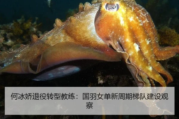 he-bing-jiao-tui-yi-zhuan-xing-jiao-lian-guo-yu-nv-dan-xin-zhou-qi-ti-dui-jian-she-guan-cha-3-319.jpg